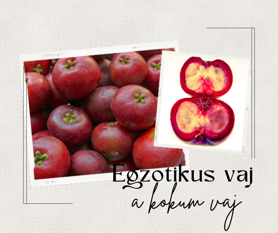 EGYTRÓPUSI EGZOTIKUS VAJ - A KOKUM VAJ