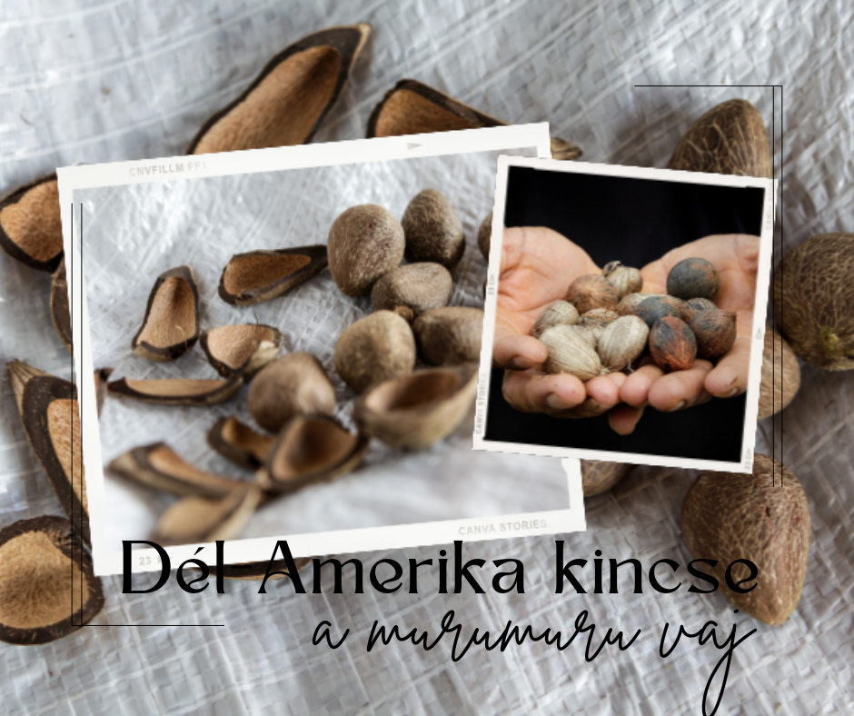 DÉL-AMERIKA KINCSE A MURUMURU VAJ